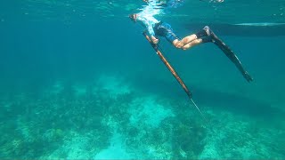 Spearfishing in the Keys  Saltwater Experience [upl. by Ylebmik853]