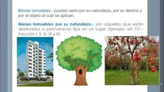 Bienes inmuebles por su naturaleza por el destino y por el objeto [upl. by Htirehc]