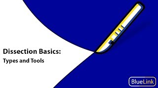 Dissection Basics  Types and Tools [upl. by Efar371]