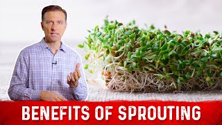 Nutritional Benefits of Sprouts Explained By Dr Berg [upl. by Antebi]