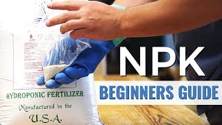 A Beginners Guide NPK in Hydroponics [upl. by Sacksen826]