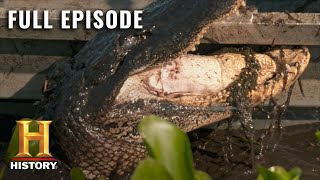 Swamp People Ruthless Oversized Beasts Fill the Swamp S10 E13  Full Episode  History [upl. by Norty883]