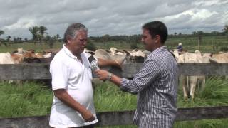 Maranhão Rural visita fazenda Sansapé em Penalva  MA [upl. by Bradly]