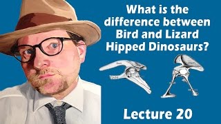 What is the difference between bird and lizard hipped dinosaurs [upl. by Eckart]