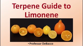 Terpene Guide to Limonene [upl. by Jeffry946]