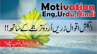 English Quotes Urdu Hindi translation with voice  best aqwal e zareen tarjamy ky sath [upl. by Mcgray]