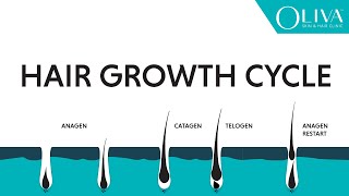 Natural Hair Growth Cycle Explainer Video On Anagen Catagen amp Telogen Phases [upl. by Lledner540]