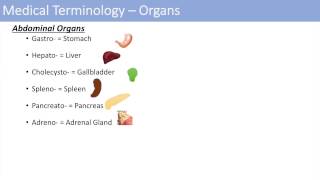 Medical Terminology  The Basics  Lesson 1 [upl. by Eniamirt]