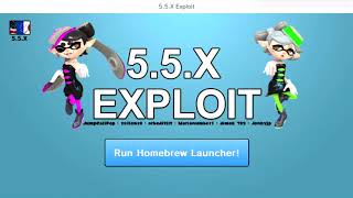 How to Install Homebrew Launcher for Wii U  2020 [upl. by Elvis967]