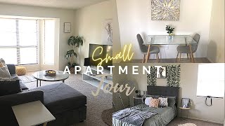 Small Apartment Tour on a Budget  Fully Furnished with a Minimalist Vibe [upl. by Schonfeld297]