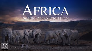 Africa 4K Relaxation Film  African Drone Scenery amp Ambient Music  Mt Kilimanjaro 4K  Africa4K [upl. by Anwahsar]