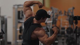 IFBB Pro Arm Workout [upl. by Mandell]