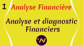 1 Analyse financière  Diagnostic financier [upl. by Eeleimaj793]