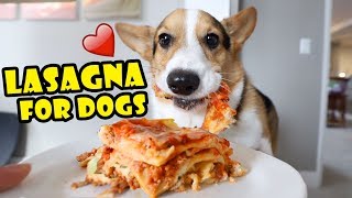 CORGI Trying Homemade Lasagna DogFriendly Gourmet  Life After College Ep 652 [upl. by Ecnerwal101]