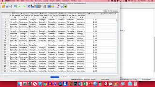 SPSS  Survey Analysis [upl. by Ekeiram218]