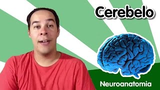 Neuroanatomia 5  Cerebelo [upl. by Hal471]