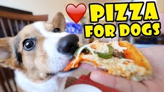 CORGI Trying Homemade Pizza DogFriendly Gourmet  Life After College Ep 595 [upl. by Giraud]