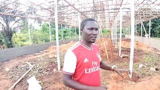 How to Build a 5000 Capacity Poultry House for Broilers [upl. by Nodnelg]