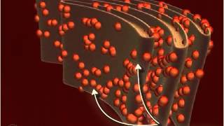 Ribosome 3D [upl. by Ellerey]