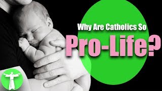 Why Are Catholics So quotProLifequot [upl. by Lucania391]