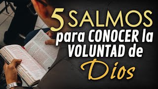 5 SALMOS para saber y hacer la VOLUNTAD DE DIOS [upl. by Muncey545]