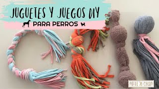 DIY juguetes y juegos para perros [upl. by Tomas]