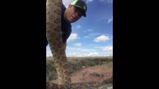 King snake vs copperhead Epic battle between snakes caught on video in Alabama [upl. by Adnoval]