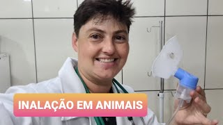 COMO FAZER INALAÇÃO EM ANIMAIS [upl. by Becky]