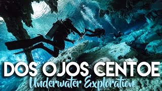 DOS OJOS CENOTE SCUBA DIVING IN TULUM MEXICO [upl. by Ocicnarf]