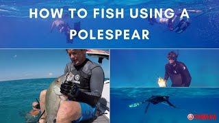 How To Spearfish Using A Polespear [upl. by Litch]