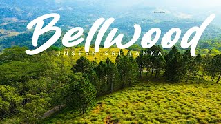 Bellwood  Unseen Sri Lanka [upl. by Urita184]