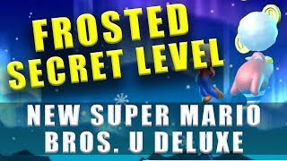 New Super Mario Bros U Deluxe Frosted Glacier Secret Level  Fliprus Lake Star Coins [upl. by Lavina]