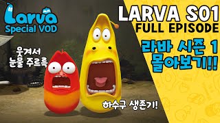 🆂🅿🅴🅲🅸🅰🅻▶LARVA S01  라바 시즌 1  FULL Episode  시간순삭 코믹 애벌레들의 하수구 생존기  케이블BOX [upl. by Ahsekyw]