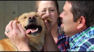 Dog Reunites With Family After 2 Years During Shelter Visit [upl. by Janka]