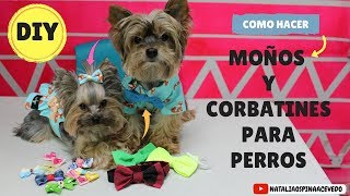 Como hacer moños y corbatines para perros  DIY Mascotas [upl. by Anilah]