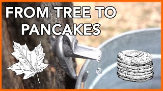 Making Maple Syrup at Home Start to Finish [upl. by Karilynn]