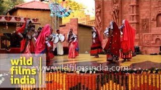 Lambadi dance by folk dancers of Telangana [upl. by Yrrak]