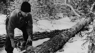 Skogsarbete Jämtland 1970 [upl. by Hughett]