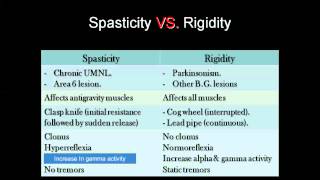 Spasticity vs Rigity amp Decerebrate vs Decorticate [upl. by Ahseiym248]