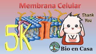 TODO sobre Membrana celular [upl. by Norvell353]