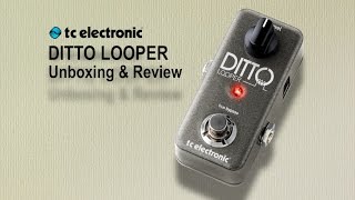 Ditto Looper Unboxing Demo amp Review [upl. by Ahseenat985]