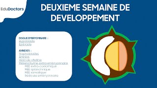 Deuxième semaine de développement embryonnaire  Embryologie générale [upl. by Rastus]