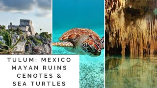 Tulum Mexico Mayan Ruins Cenotes amp Sea Turtles [upl. by Ellga]