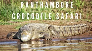 Ranthambore Crocodile Safari  Pali Ghat  Chambal River  Gharial Safari  Chambal Safari  Chambal [upl. by Grunenwald196]