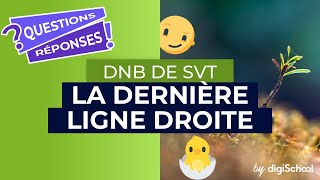 SVT  comment réussir son brevet [upl. by Dorn957]