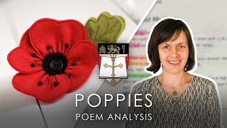 Poppies  Jane Weir  Poem Analysis  AQA GCSE English Lit [upl. by Dewhirst904]