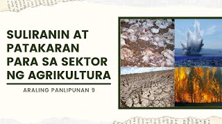 Suliranin at Patakaran para sa Sektor ng Agrikultura [upl. by Swan]