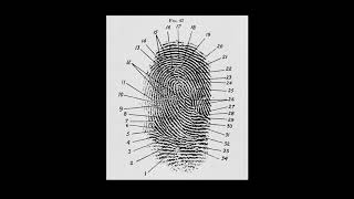 Introduction What are Fingerprints [upl. by Nilats546]