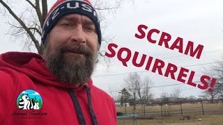 Squirrel Deterrents What Really Works [upl. by Ahsitul]