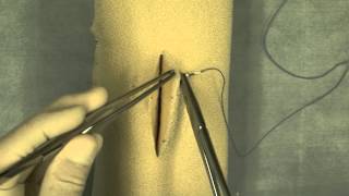 Cruciate Suture Pattern [upl. by Allenod]